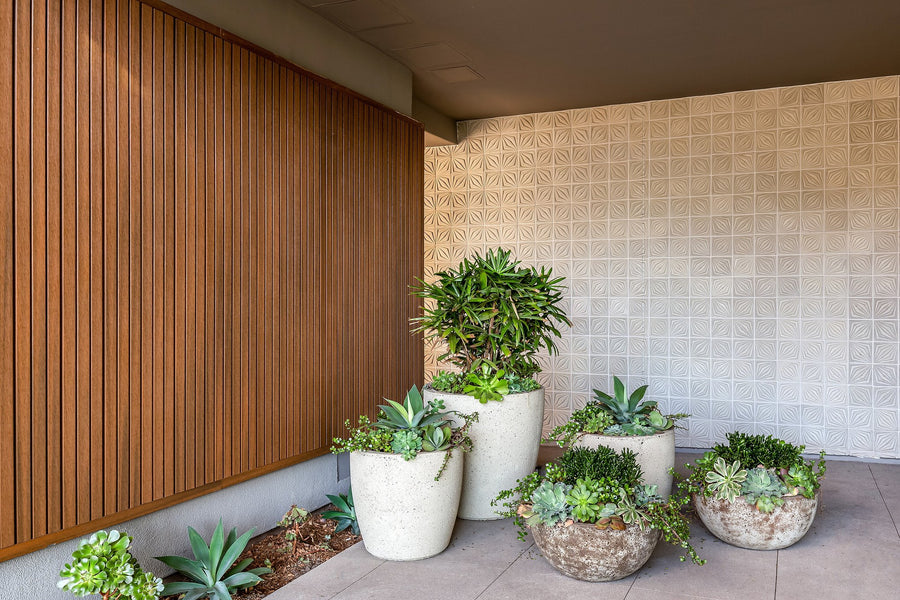 The Alexan Apartments, San Diego