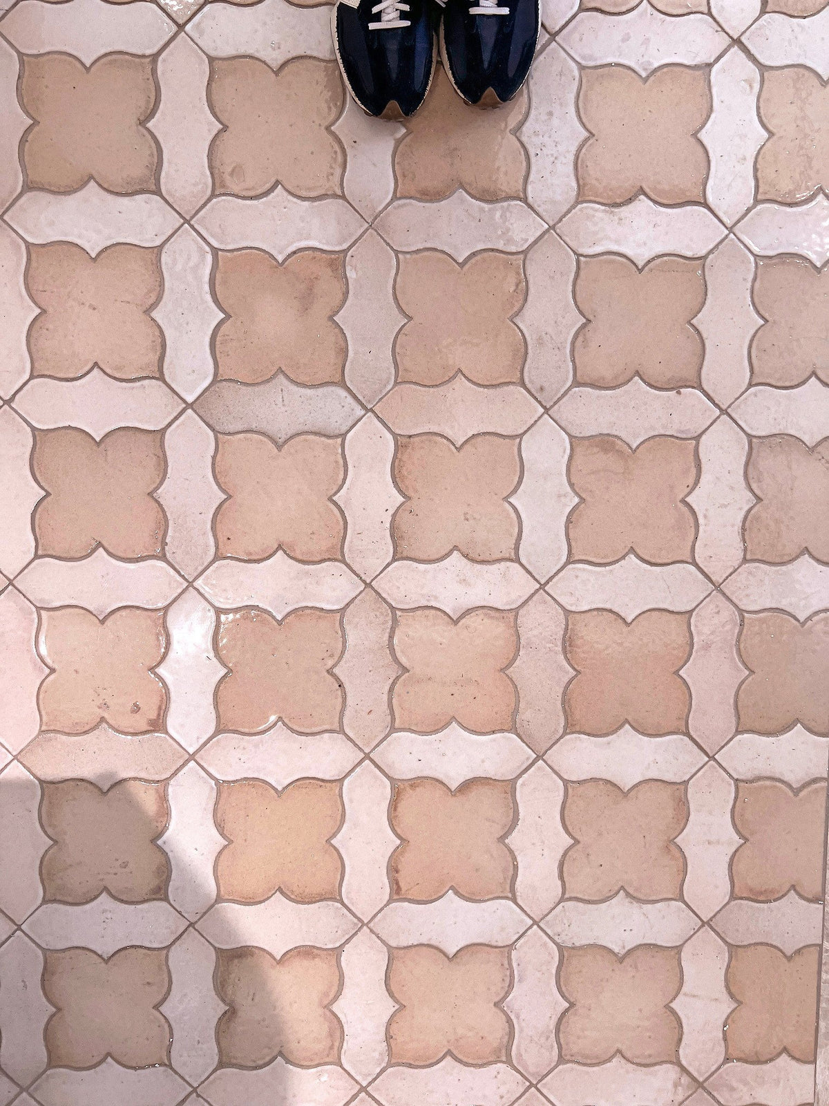 Amaryllis floor viewed from above
