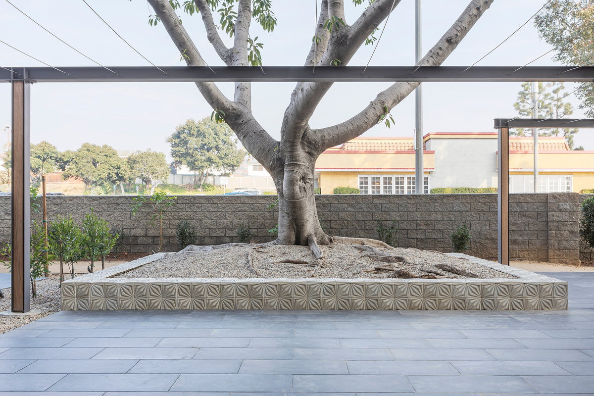 Courtyard with Compass Star planter