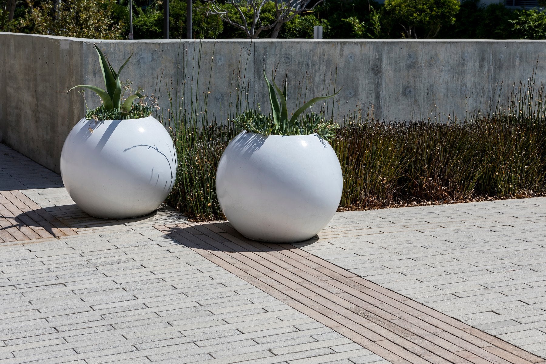 Long narrow concrete pavers on a plaza with two spherical planters, LA Port Police Station