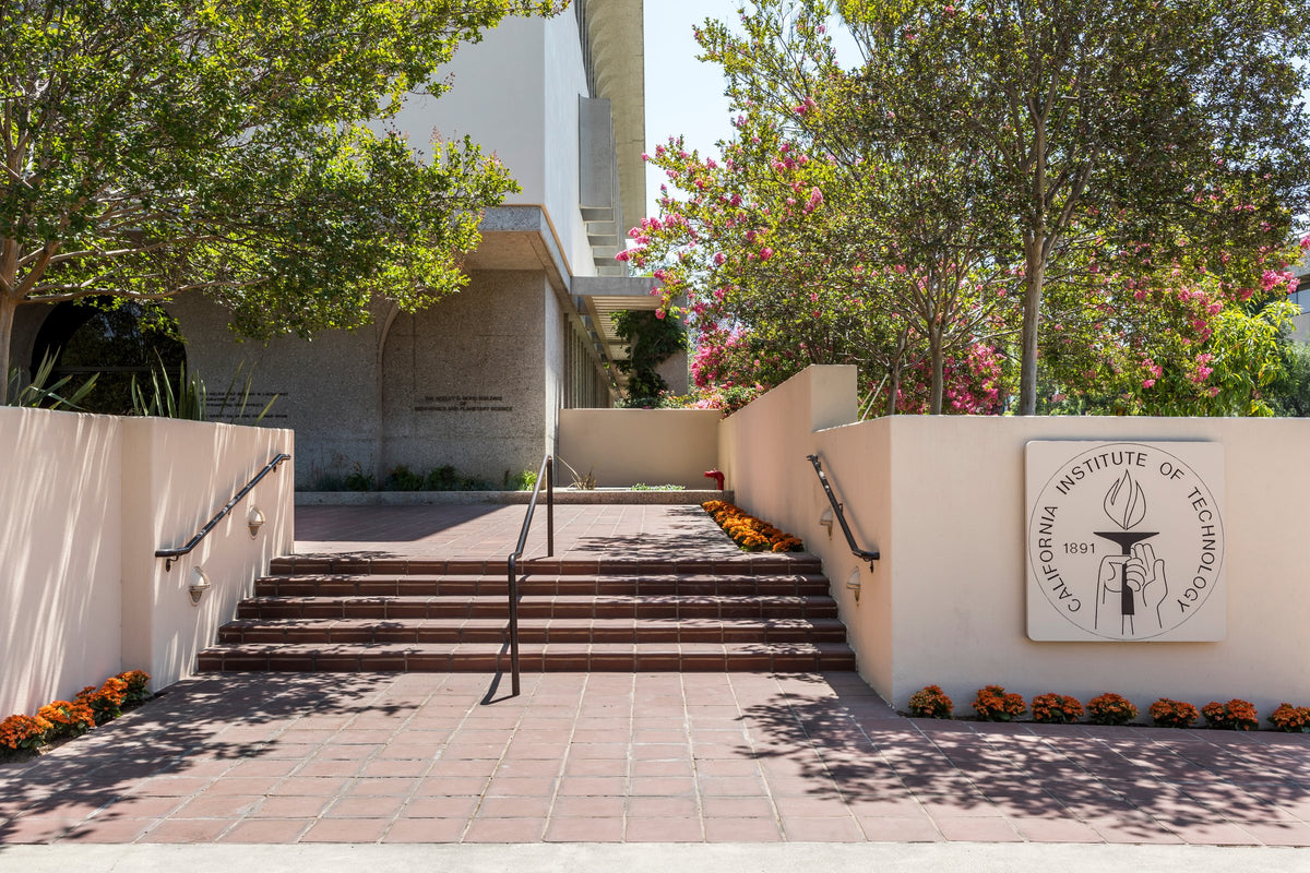 Campus entry steps and plaza