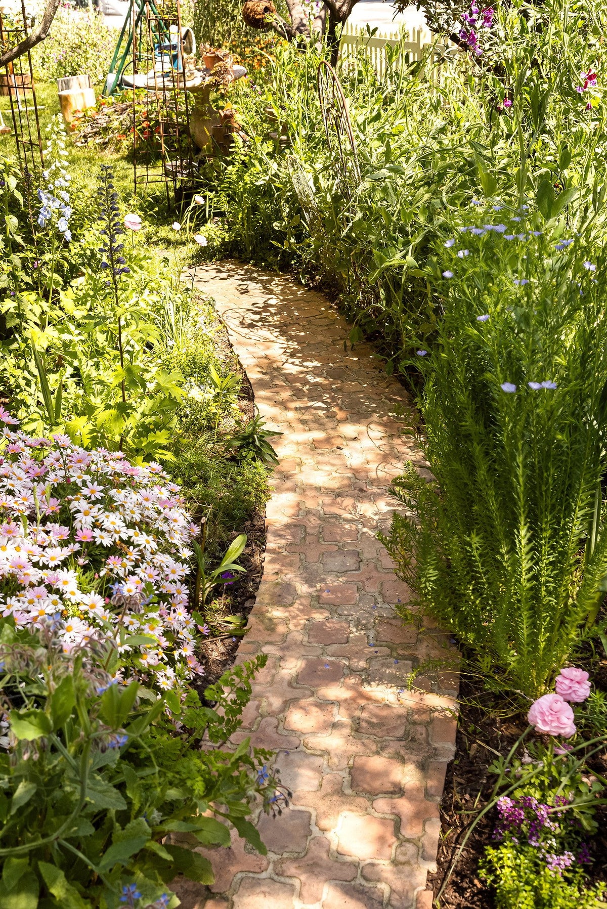 Path winding through the flowers