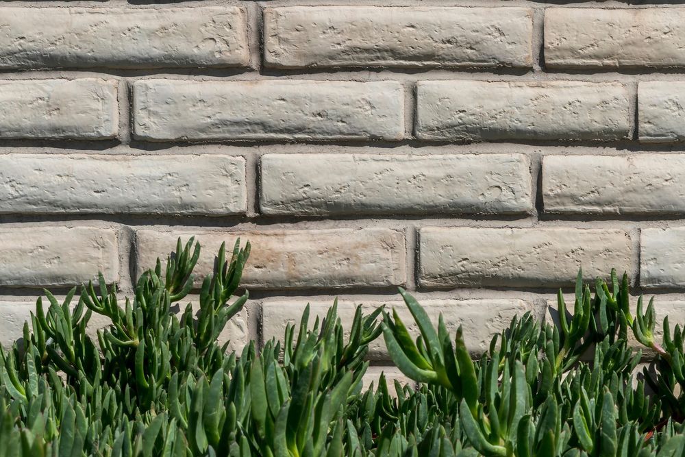 Adobe Brick in a custom color, running bond field above flowering ice plant