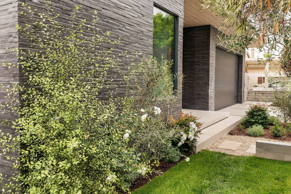 Side yard along the brick facade