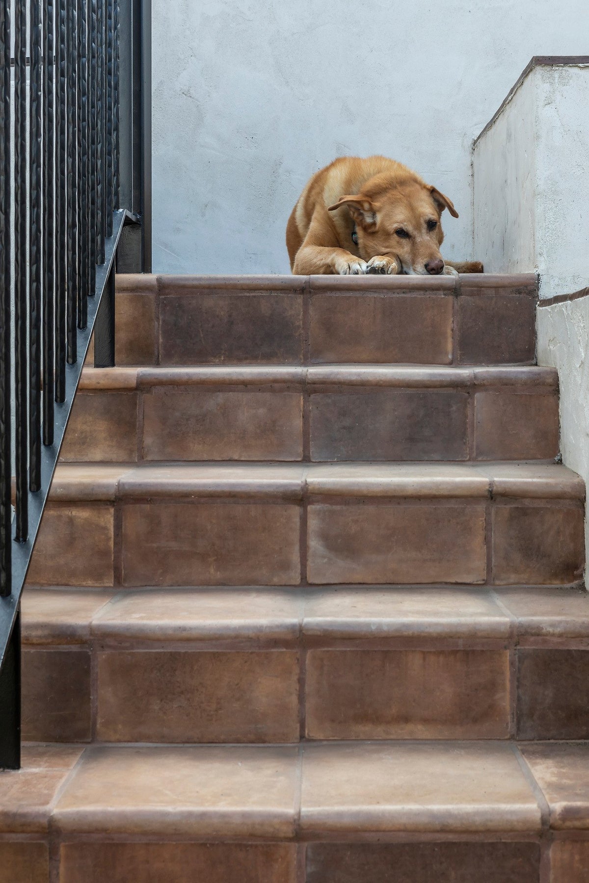 Stair treads and risers up close