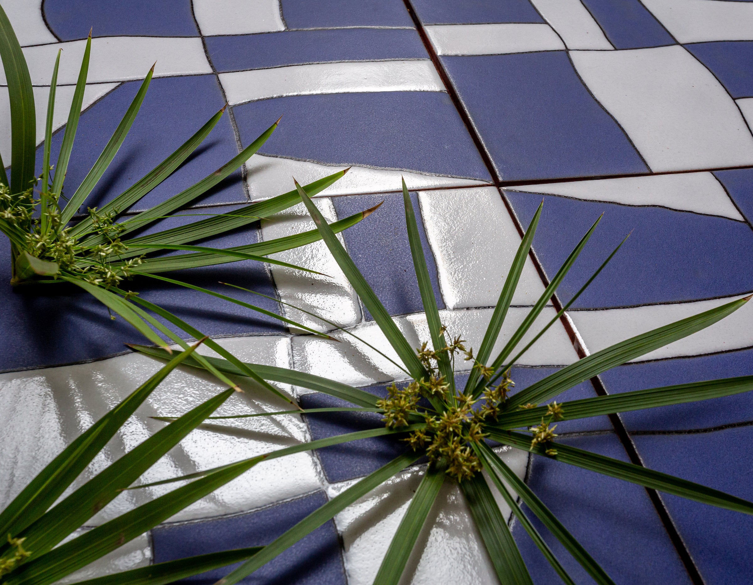 A wall of KLE tile in blue and white, the hand drawn line running from tile to tile, with papyrus fronds laid across it