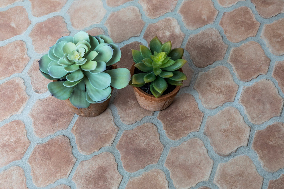 San Felipe tile in Cafe Olay