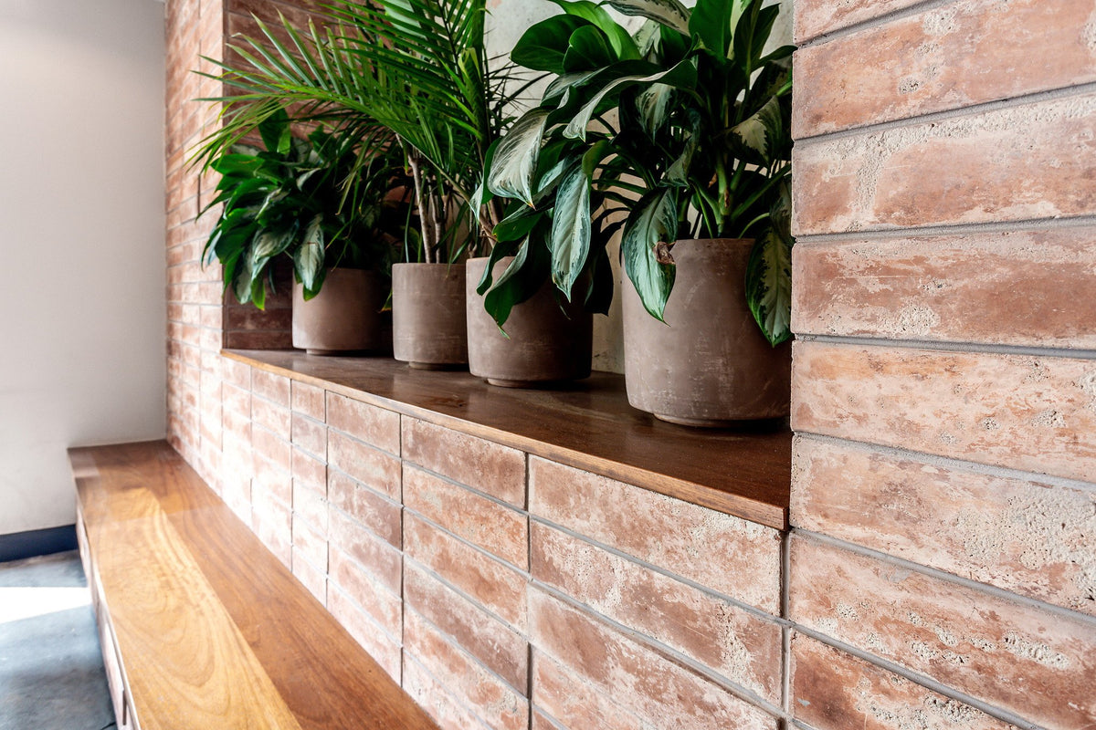 Planter ledge along the tile wall