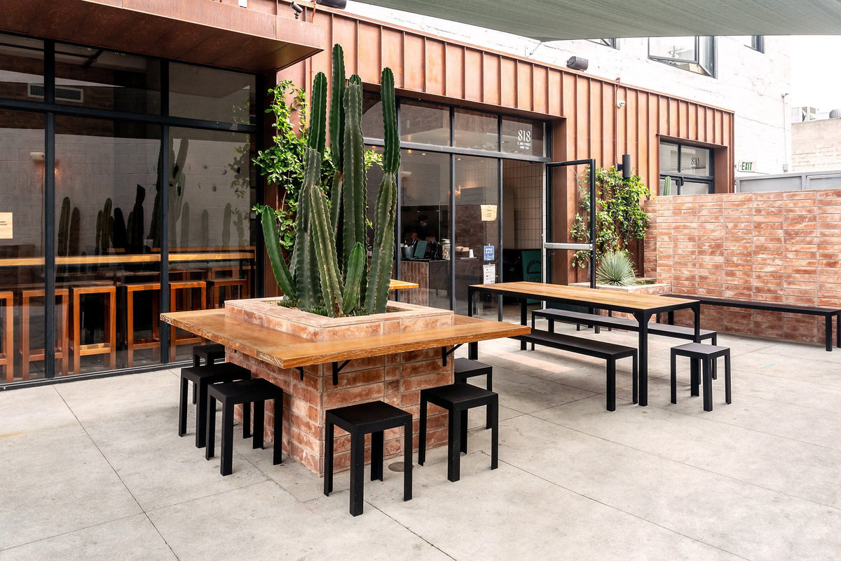 Courtyard dining with cactus planter