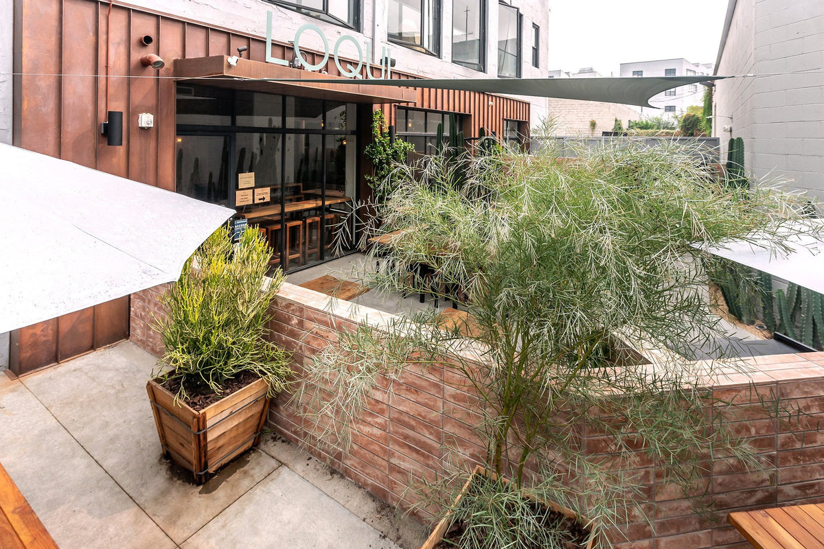 Street-front planters in Artillo