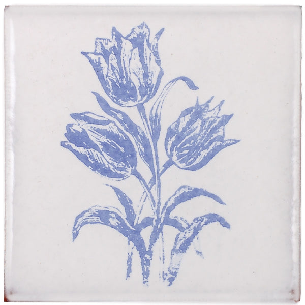 Peninsula 4x4 PD-TULIPS, the drawing on one tile