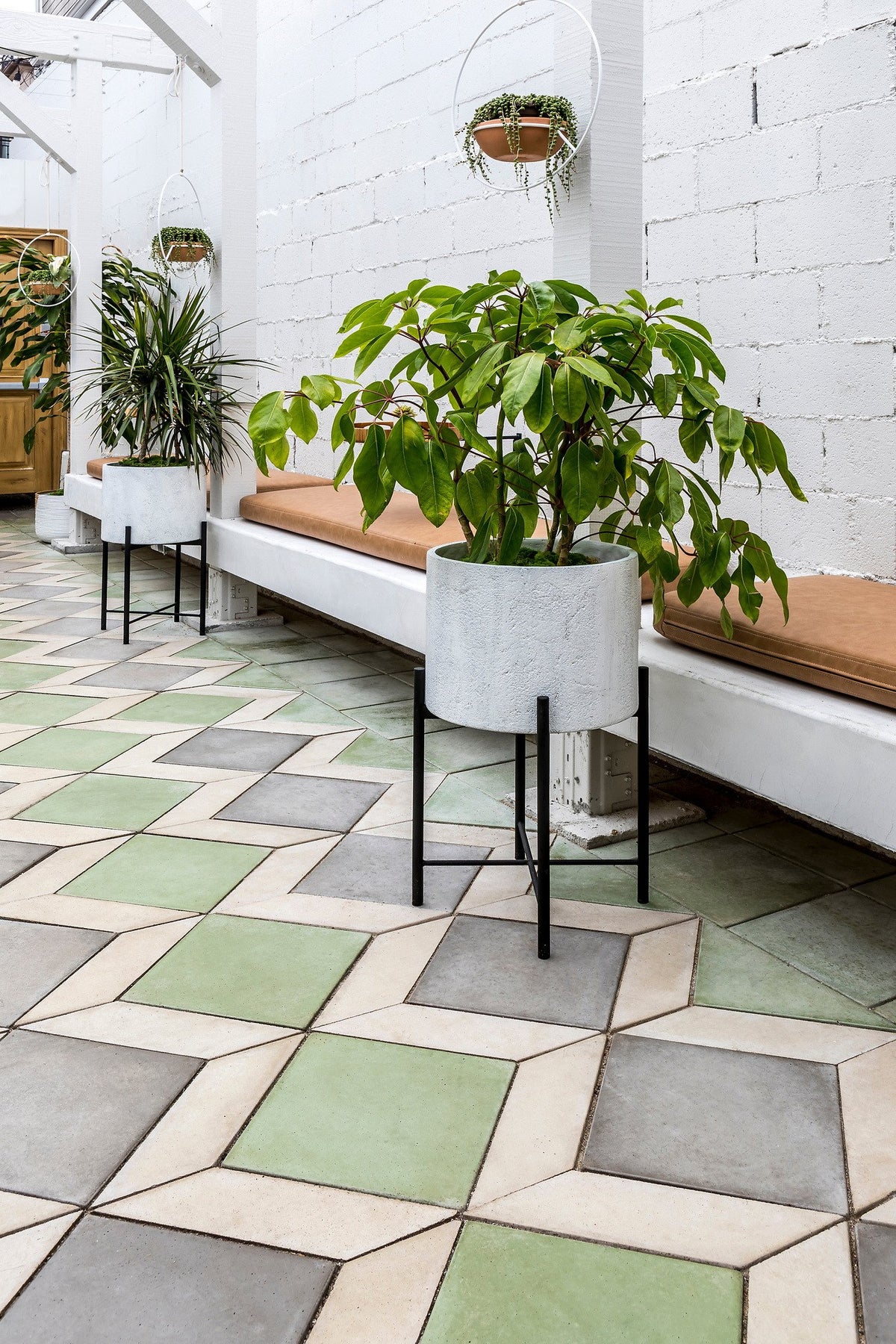 Potted plant on the tile floor