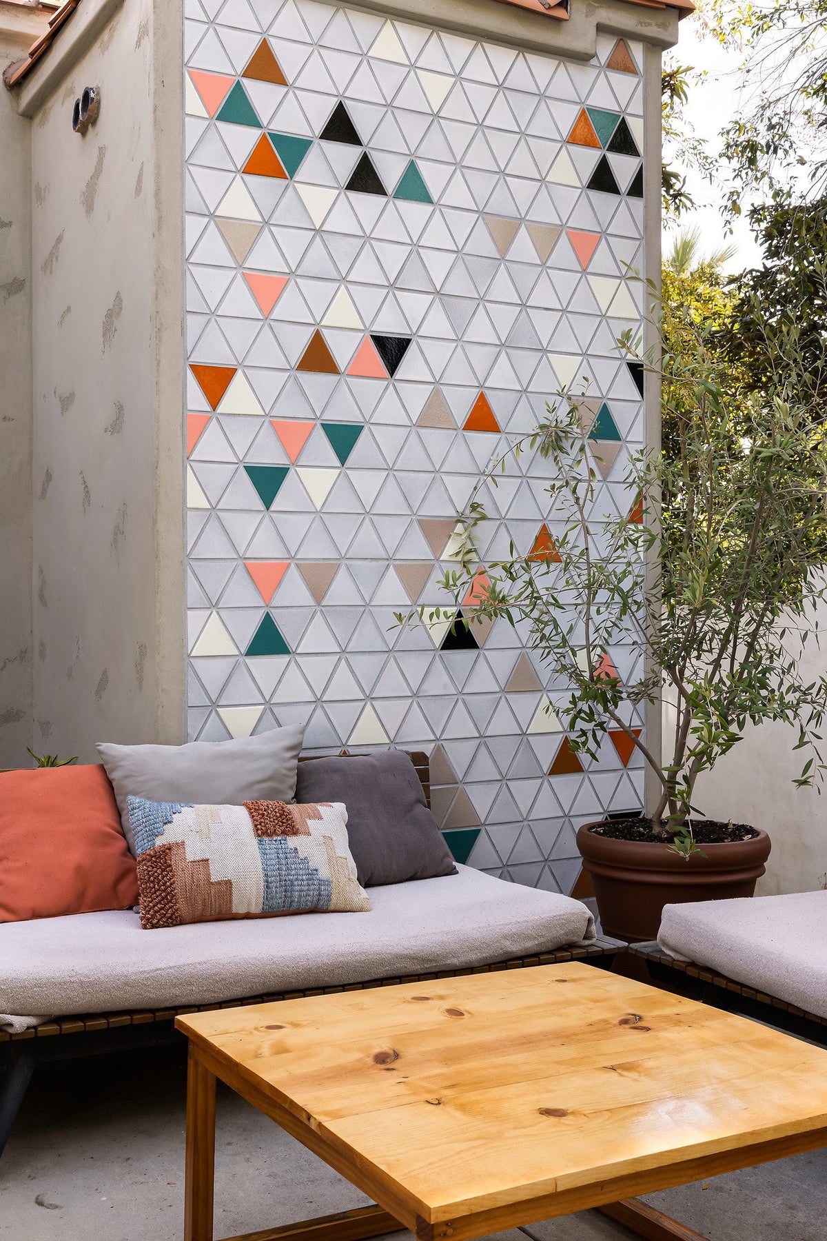 Feature wall framed by an olive tree