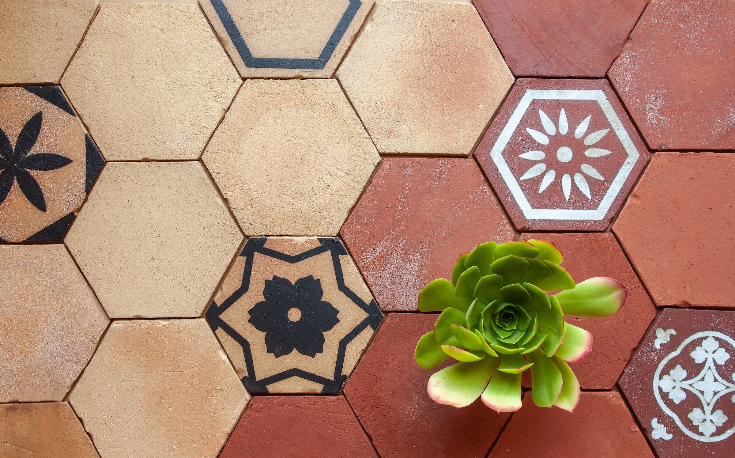 A hexagon floor of Tierra Madre, pale tiles on one side and terracotta on the other, with screened decos set through it and a green succulent resting on the surface